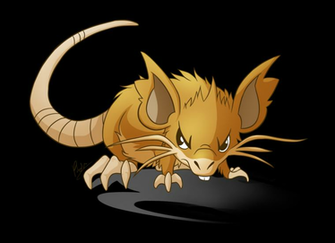 Keywords Raticate Wallpaper And Tags