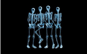 Skeleton Wallpaper On Desktop