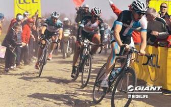 Giant Road Bike Wallpaper Bicycles