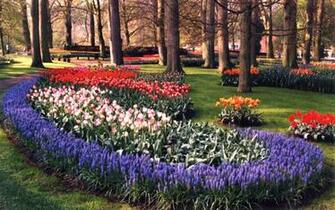 Keukenhof Gardens Wallpaper