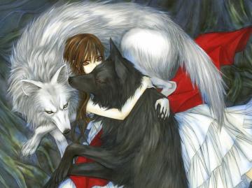 Vampire Knight HD Wallpaper And Background