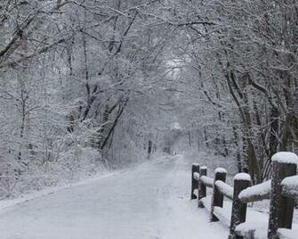 Pin Snowy Christmas Scene Wallpaper