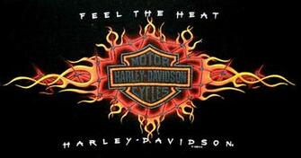 Harley Davidson Skull Logo T Shirt