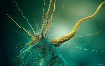 Bacteria Wallpaper HD