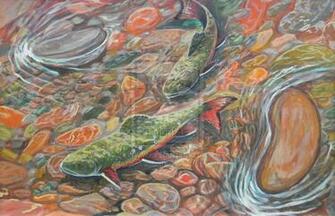 Trout Stream Wallpaper