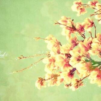 Spring iPad Wallpaper