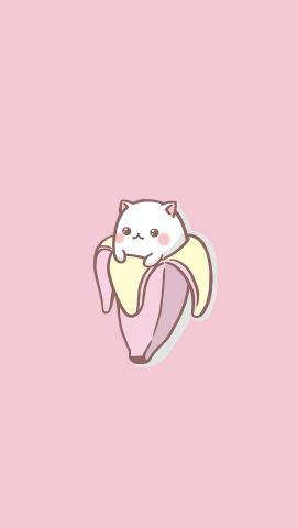 Cat Lockscreen Wallpaper Cute Lockscreens