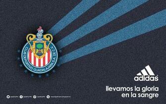 Chivas Wallpaper