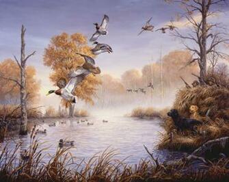 Ducks Unlimited Graphics Code Comments Pictures