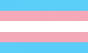 Transgender By Pride Flags