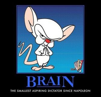 Picture Of Pinky And The Brain
