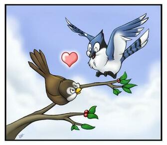 The Robin And Blue Jay By Nyaasu
