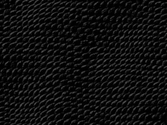 Black Snake Skin Wallpaper HD