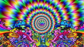 Trippy Shroom Wallpaper Group
