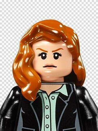 Lois Lane Lex Luthor Lego Dc Comics Super Heroes Justice League