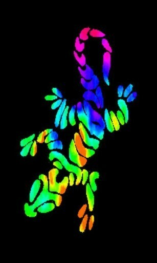 Bigger Flash Gecko Live Wallpaper For Android Screenshot