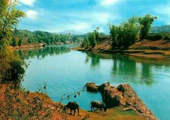 Scenery Pictures Area