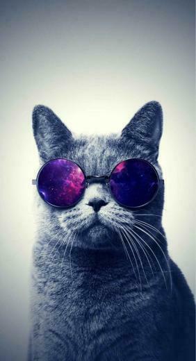 Awesome iPhone Wallpaper Anja Hipster