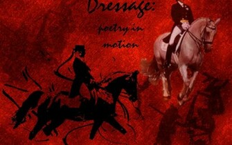 Dressage Wallpaper