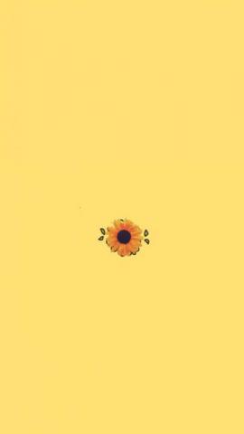 Cute Yellow Wallpaper Top Background