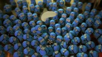 Related Pictures Los Minions De Mi Villano Favorito Memes