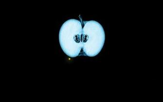 Fruits Fringe Wallpaper Apples
