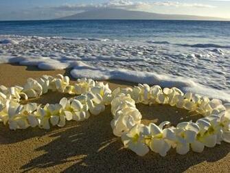 Maui Wallpaper Desktop