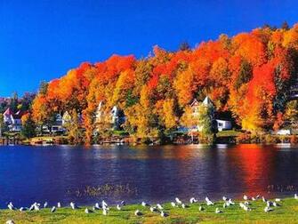 Lake Placid Wallpaper