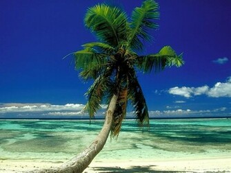 Wallpaper And Screen Saver Sfondi Gratis Seychelles Fonds D