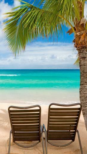 Beach Chairs Palm Tree Seaside Android Wallpaper