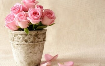 Flower Pink Petals Desktop Background