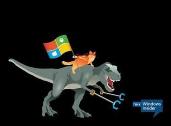Hilarious Windows Ninjacat Wallpaper Released By Microsoft