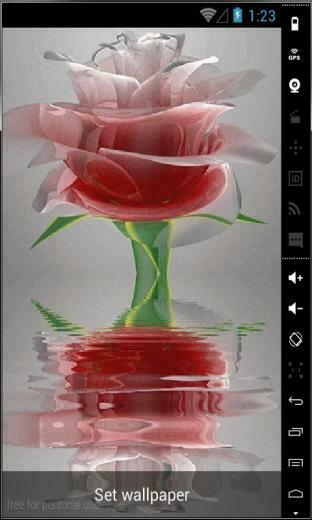 Glass Rose Live Wallpaper For Your Android Phone