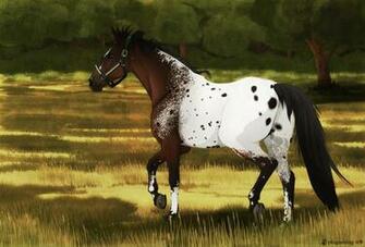 Appaloosa By Plaguedog