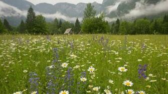 Alpes Sur Un Matin De Printemps Wallpaper