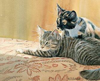 Lang Desktop Background April Cats In The Country Cat