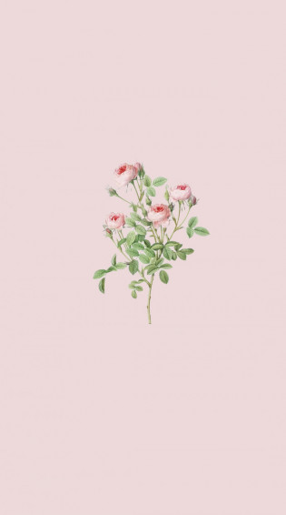 Cute Spring Wallpaper For Phone iPhone Rose