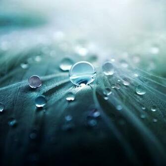 iPad Retina Display Wallpaper