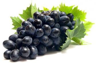 Artikel Terkait Grapes Fruit Wallpaper Pictures