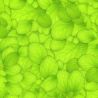 Green Leaves iPad Wallpaper Retina
