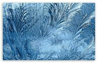 Ice Flowers On The Window HD Wallpaper For Standard Fullscreen