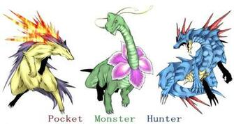 Pokemon Alternative Art Feraligatr Meganium Thyplosion Wallpaper