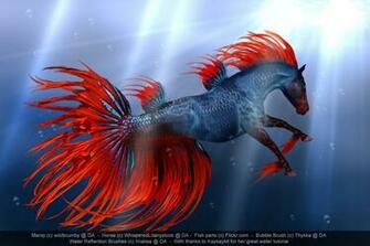 Hippocampus Splenda By Wildbrumby