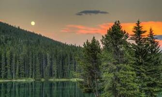 Alberta Canada Lake Forest Sunset Trees Wallpaper Background