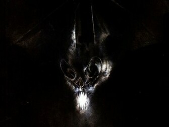 Batman Arkham Asylum HD Awesome Desktop Wallpaper