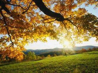 Fall Wallpaper Galery Photo Celebrity