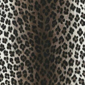 Shop By Style Animal Print Leopard Black White Wallpaper