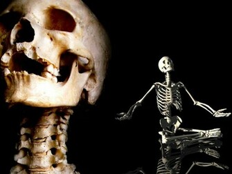 Skeleton Wallpaper Jpg