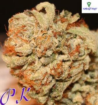 Purple Kush Weed King Marijuana