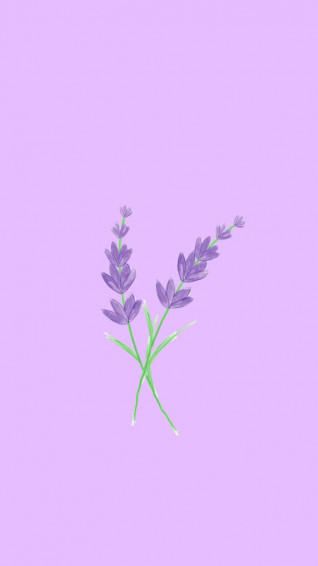 Lilac Color Wallpaper